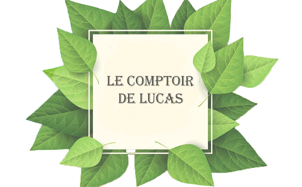 lecomptoirdelucas.com